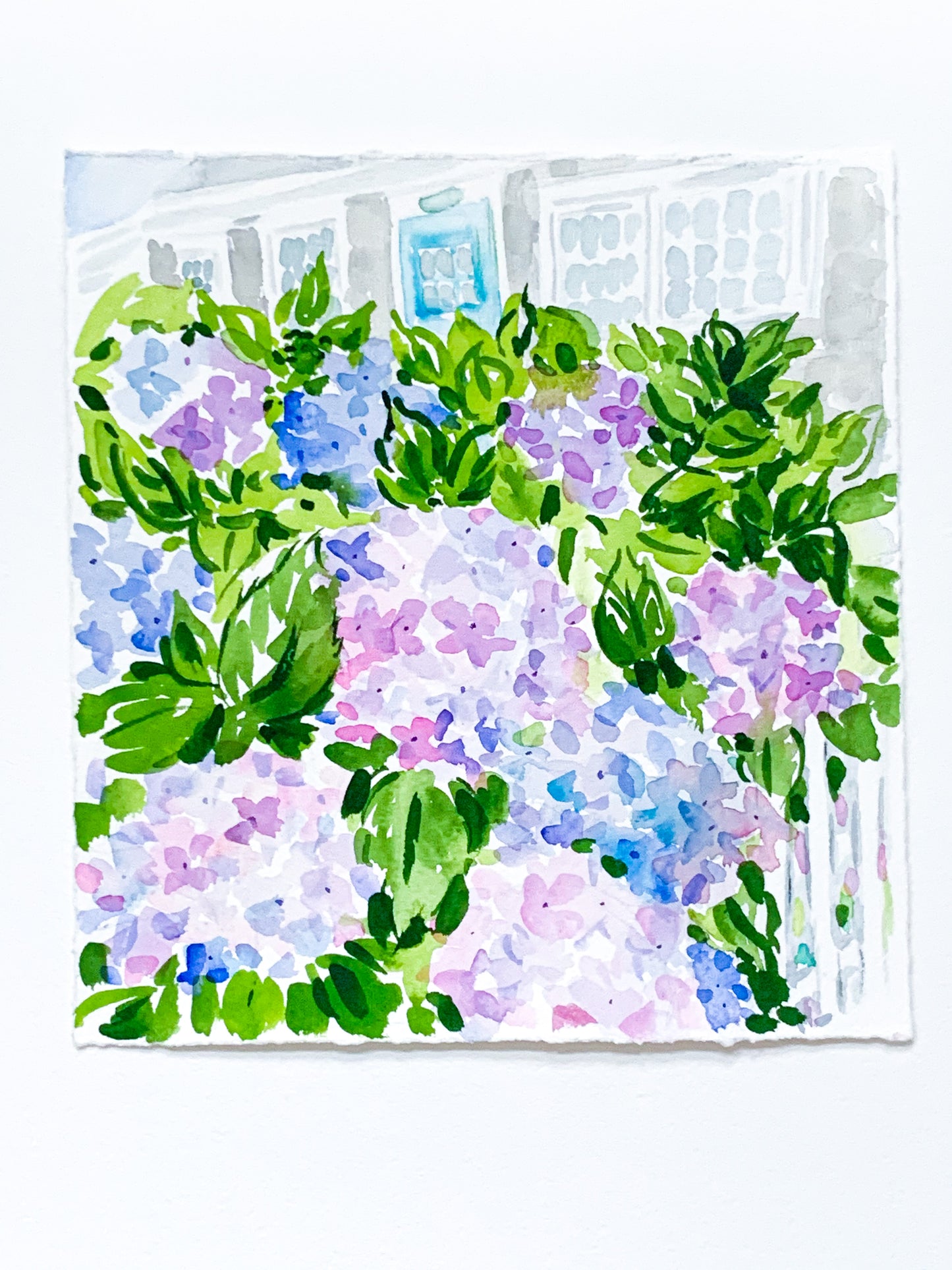 Hydrangea Hues, North Wharf Nantucket